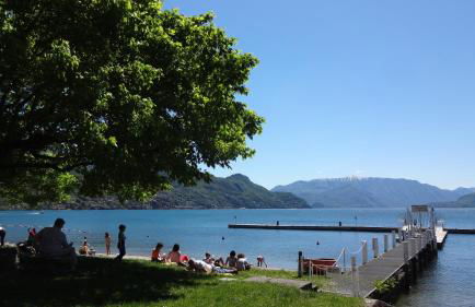 Il girasole - Foto 30