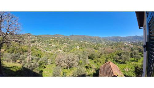 Les Oliviers - Photo 4