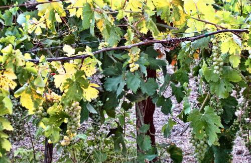 Charming studio with air conditioning in Gragnano - 35 sqm - Foto 19