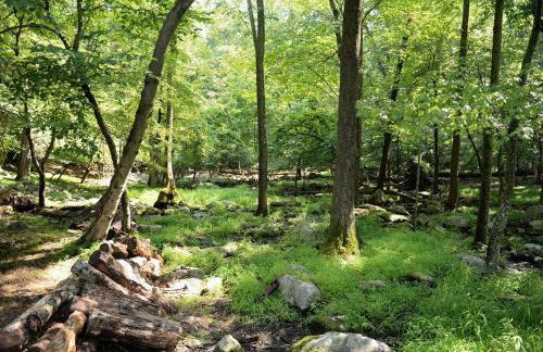 3 Acre Lake Paradise Swimming Pool & Jacuzzi HotTub! - Foto 68