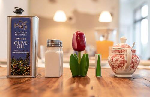 Mas Montbrio Belvedere - Foto 24