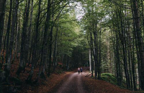 Hochburger 21 - Photo 12