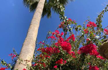 El Lagar de los Abuelos - Foto 13