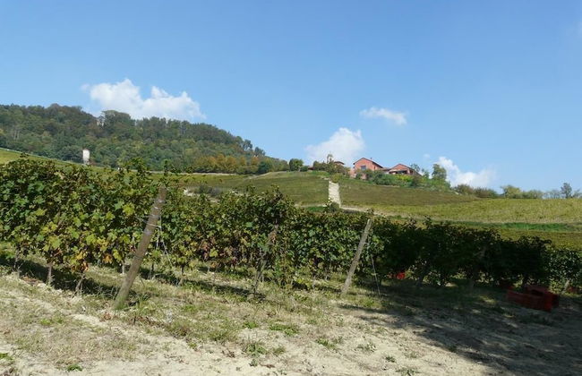 Tenuta Tenaglia - Photo 22