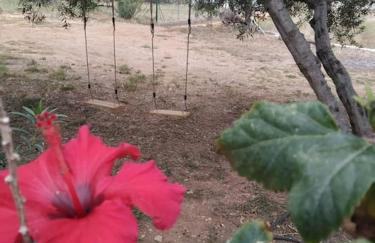 Sun and Sea 2 Elika Lakonias - Foto 9