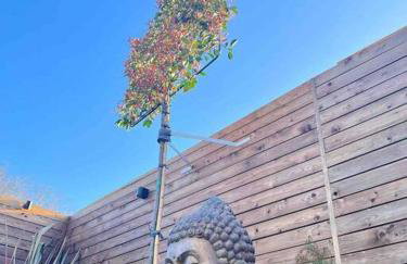 1 The Cottage - Foto 44