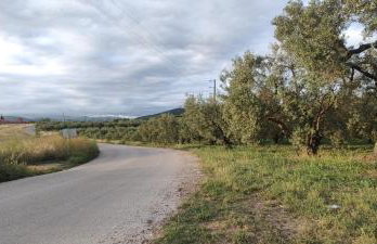 Sitholia Apartment Vatopedi - Photo 73