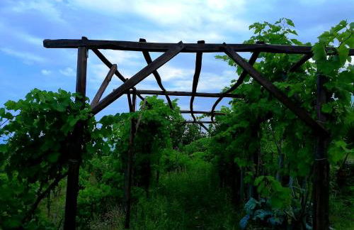 Villa Etna Masi' - Foto 62