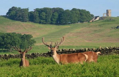 Stoop Cottage - in the heart of Quorn - Foto 35