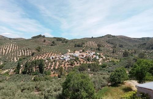 El Almendro De La Tia Teresa - Foto 30