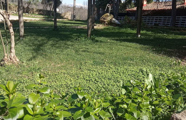 LA CASONA - Photo 14