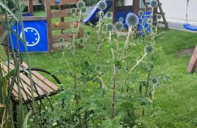 Domki Pozytywki - Foto 36