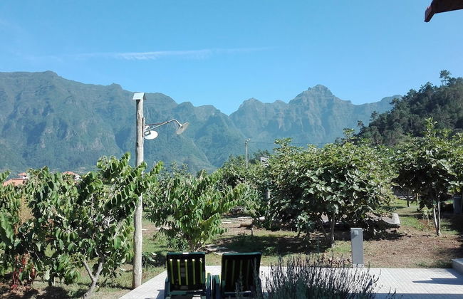 Grannys Farm - Foto 58