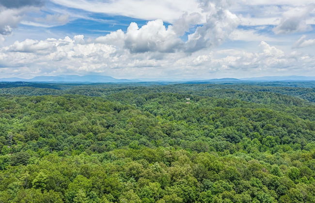 Treetop Oasis Retreat - Foto 32