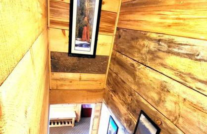 Sequoia Splendor, inside Kings Canyon NP by Visitors Center - Foto 42