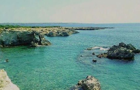 Il Campo Blu - Foto 51