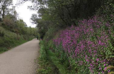Casa Rural La Antigua Tahona - Foto 37