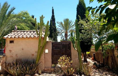 Relax y Descanso - Foto 38