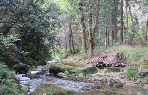 Villa Casa de Campo Los Carballos - Photo 47