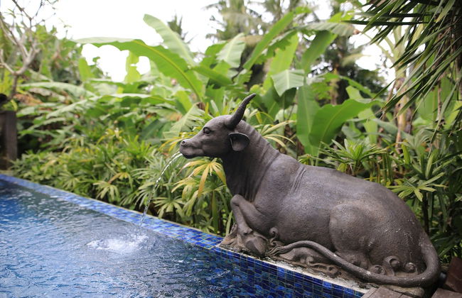 Ume Sri Villas Ubud - Foto 21