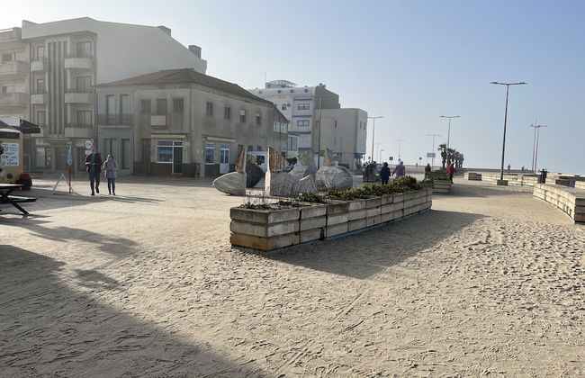 Coral Seaside Living - Foto 39