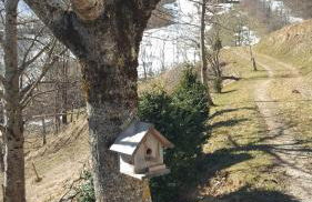 Chalet typique des Pyrénées - Foto 38