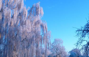 The Jockey Room Hideaway - Foto 30