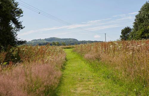 The Grainstore at Moor Farm - Foto 29