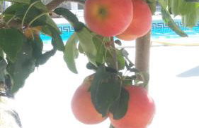 El Pilar de Don Gregorio - Foto 26