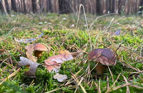 Apartment für zwei - Foto 18