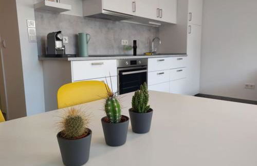 Ruhige 2-Zimmer Wohnung in zentraler Taunus Lage - Foto 5