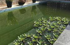 Pousada pesque park 2 - Foto 28