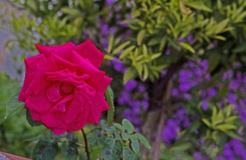 Kalami Studios - Photo 32