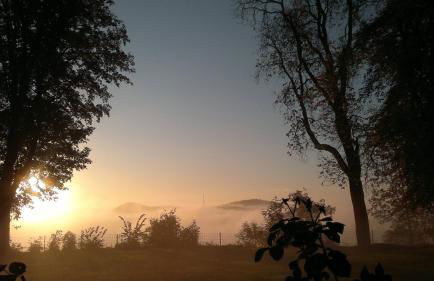 Schloß Wittgenstein - Foto 9