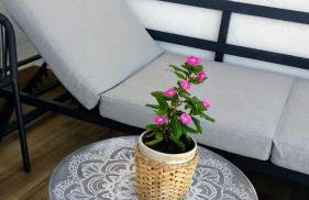 El Desván - Foto 17