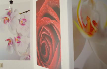 Fewo 2 Meyer - Foto 13