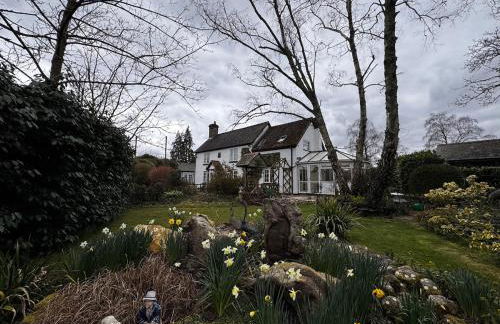 Holdfast Cottage in the heart of The New Forest - Photo 9