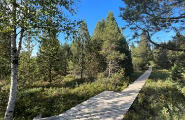 Apartment Schwarzwald-Anni Pool Tennis Sauna - Foto 38