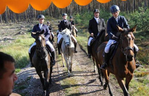 Ferienwohnungen im KUNST.HAUS am See - Foto 17