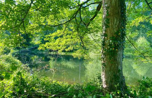 Croft Lodge Studio - Foto 25