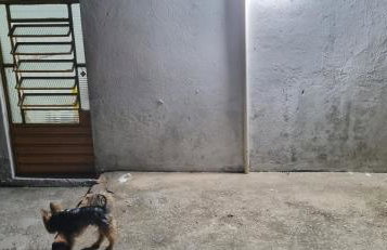 Casa em porto de pedras - Foto 15