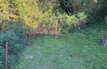 Wellness House Oliva with heated salt water Pool, Sauna & Jakuzzi - Foto 56