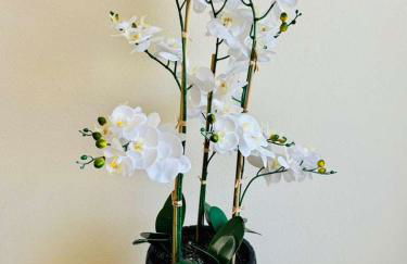 New Home Near Legoland and Disney Sleeps 12 - Foto 15