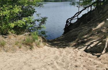 Waldbungalow mit WLAN und Terrasse in Seenähe-Hund willkommen - Foto 22
