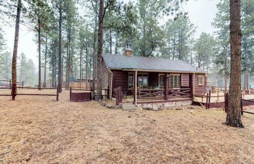 Big Bear Cabin - Foto 1