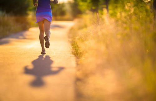 Millygite roulotte - 4 seasons Chalet-on-wheels - Foto 24