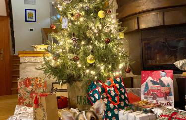 Villa Ginny - Foto 40