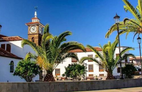 Musa Paradisiaca - Foto 43