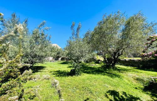 Le domaine des Oliviers ALES Piscine Jacuzzi Sauna - Foto 56