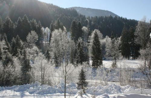 Alpenspatzl - Foto 13